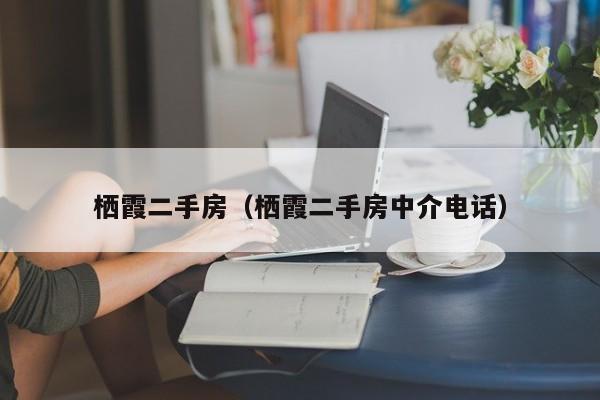 栖霞二手房（栖霞二手房中介电话）
