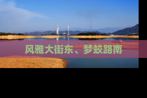 风雅大街东、梦蛟路南