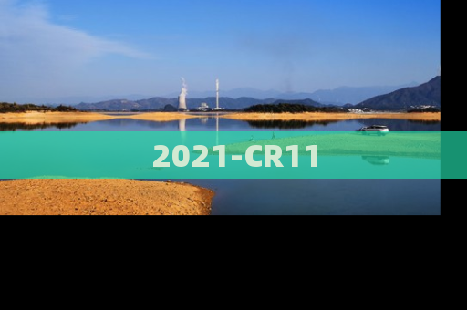 2021-CR11