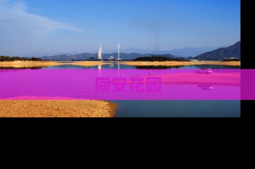 同安花园