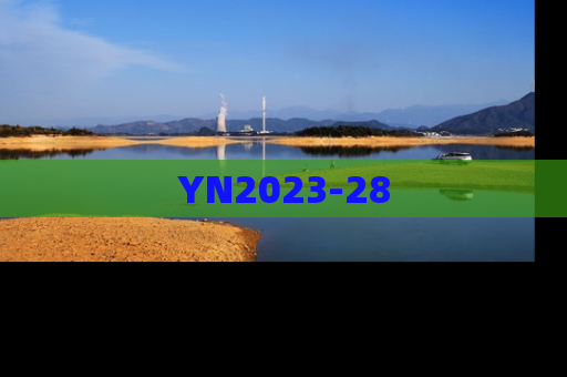 YN2023-28