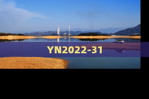 YN2022-31