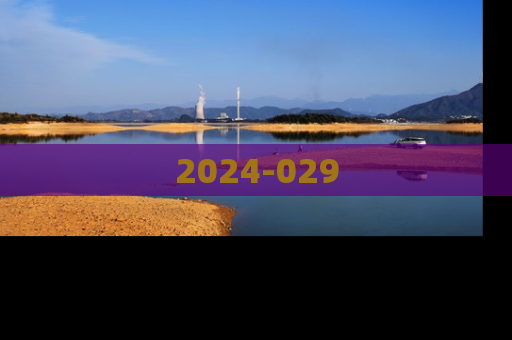 2024-029