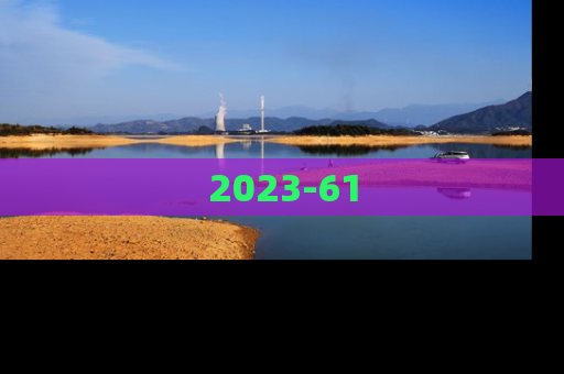 2023-61