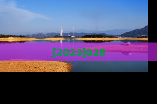 [2023]028