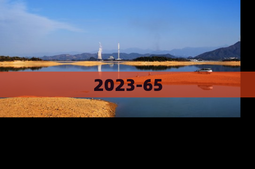 2023-65