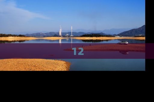 12