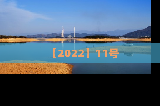 【2022】11号