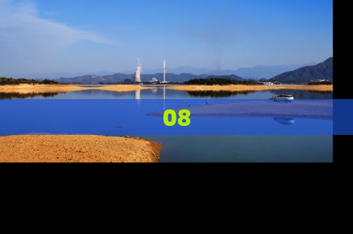 08