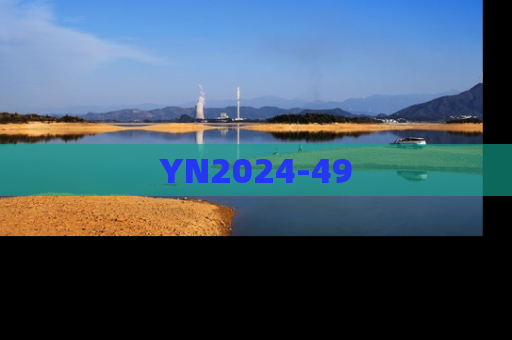 YN2024-49