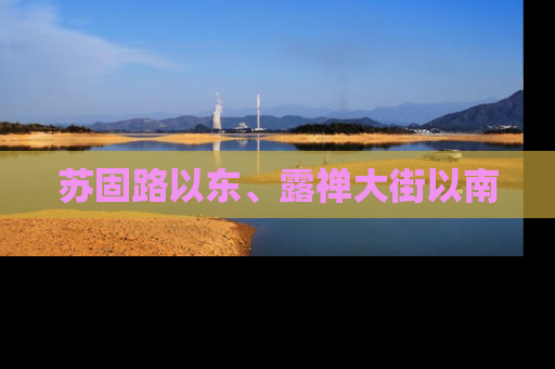 苏固路以东、露禅大街以南