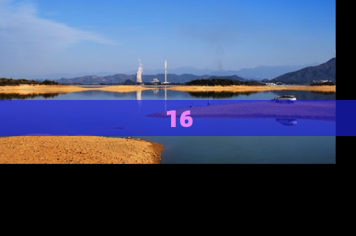 16