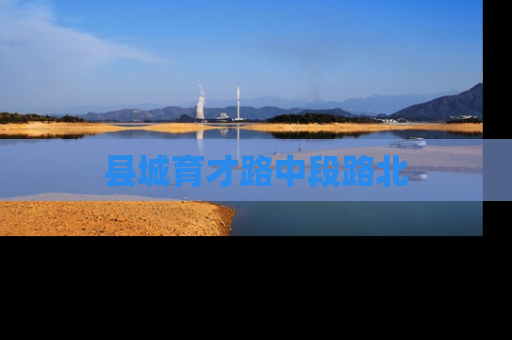 县城育才路中段路北