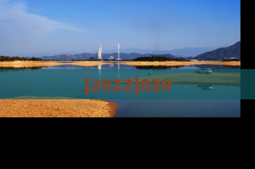[2022]020