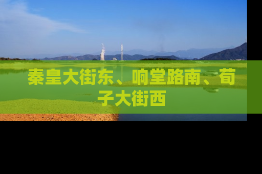 秦皇大街东、响堂路南、荀子大街西