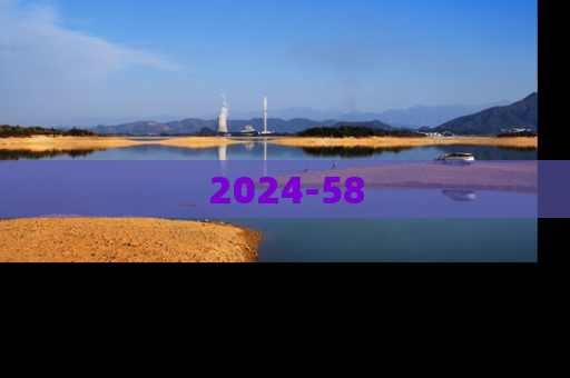 2024-58