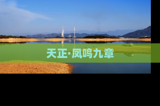 天正·凤鸣九章