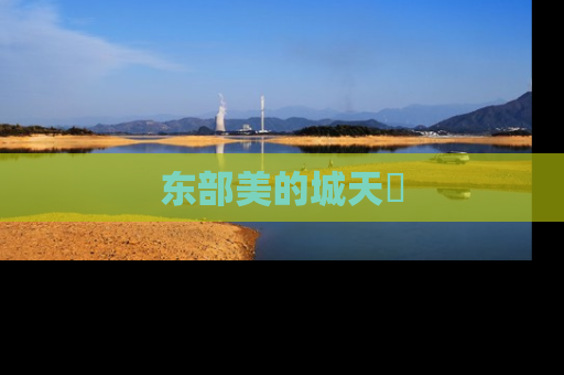 东部美的城天璟