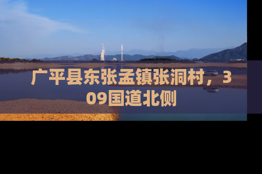 广平县东张孟镇张洞村，309国道北侧