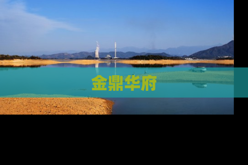 金鼎华府