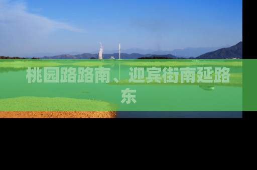 桃园路路南、迎宾街南延路东