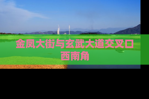 金凤大街与玄武大道交叉口西南角