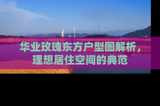 华业玫瑰东方户型图解析，理想居住空间的典范