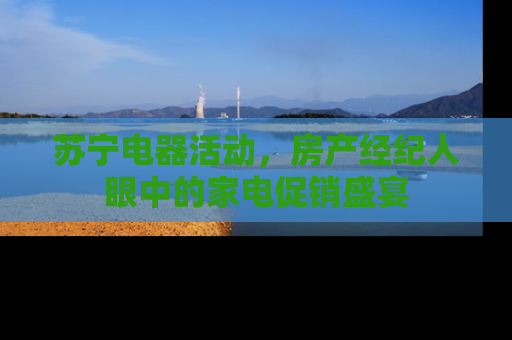 苏宁电器活动，房产经纪人眼中的家电促销盛宴