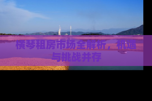 横琴租房市场全解析，机遇与挑战并存