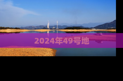 2024年49号地