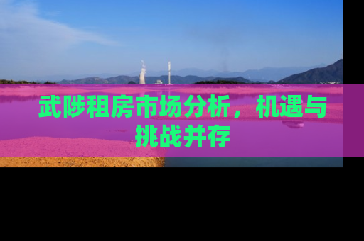 武陟租房市场分析，机遇与挑战并存