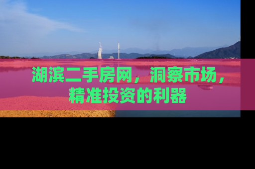 湖滨二手房网，洞察市场，精准投资的利器