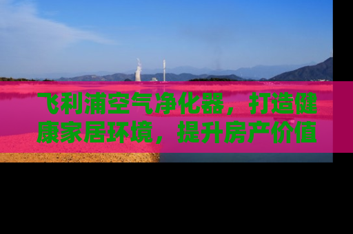 飞利浦空气净化器，打造健康家居环境，提升房产价值