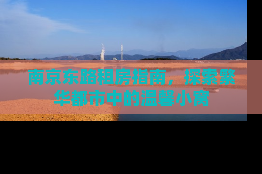 南京东路租房指南，探索繁华都市中的温馨小窝