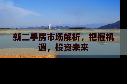 新二手房市场解析，把握机遇，投资未来