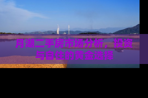 月湖二手房市场分析，投资与自住的黄金选择