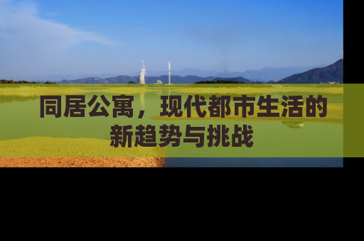 同居公寓，现代都市生活的新趋势与挑战