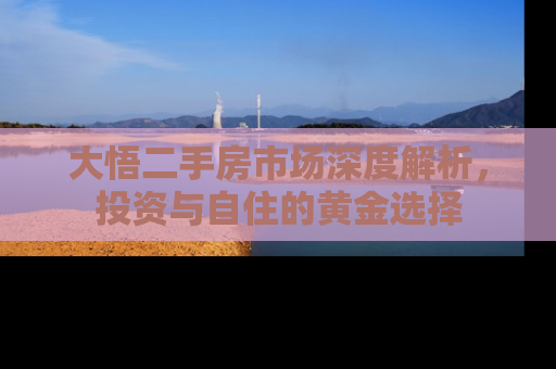 大悟二手房市场深度解析，投资与自住的黄金选择