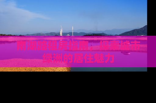 南湖路租房指南，探索城市绿洲的居住魅力