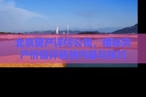 北京房产评估公司，揭秘房产价值评估的内幕与技巧