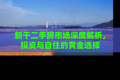 新干二手房市场深度解析，投资与自住的黄金选择