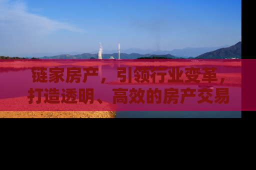 链家房产，引领行业变革，打造透明、高效的房产交易新体验