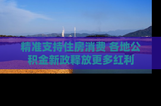 精准支持住房消费 各地公积金新政释放更多红利