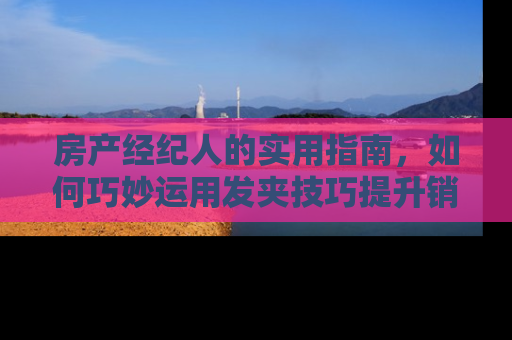 房产经纪人的实用指南，如何巧妙运用发夹技巧提升销售业绩