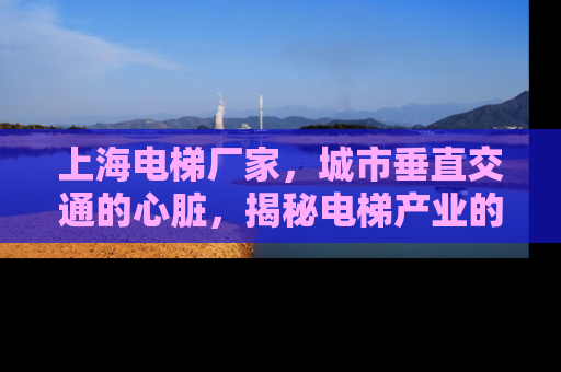 上海电梯厂家，城市垂直交通的心脏，揭秘电梯产业的创新与发展