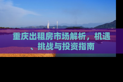 重庆出租房市场解析，机遇、挑战与投资指南