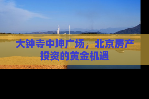 大钟寺中坤广场，北京房产投资的黄金机遇