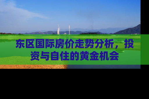 东区国际房价走势分析，投资与自住的黄金机会