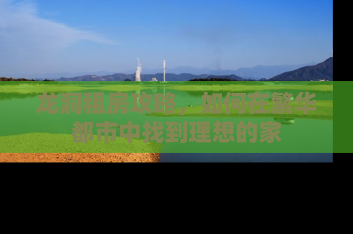 龙洞租房攻略，如何在繁华都市中找到理想的家