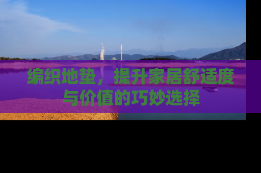 编织地垫，提升家居舒适度与价值的巧妙选择